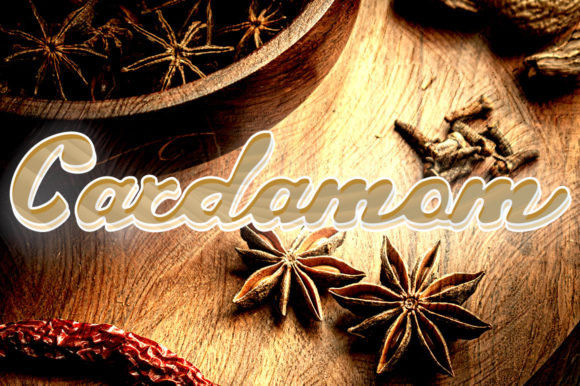 Cardamom: An Elegant Script Font for Editorial Design