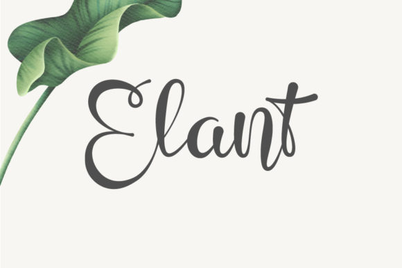 Elant: A Script Font for Editorial Elegance