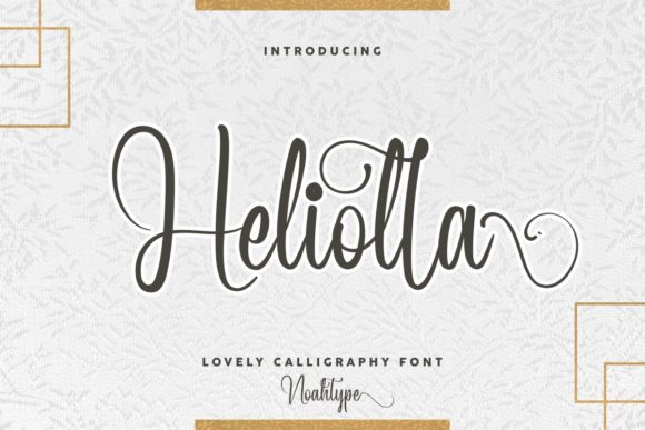 Heliolla: A Designer’s Honest Review of This Elegant Script